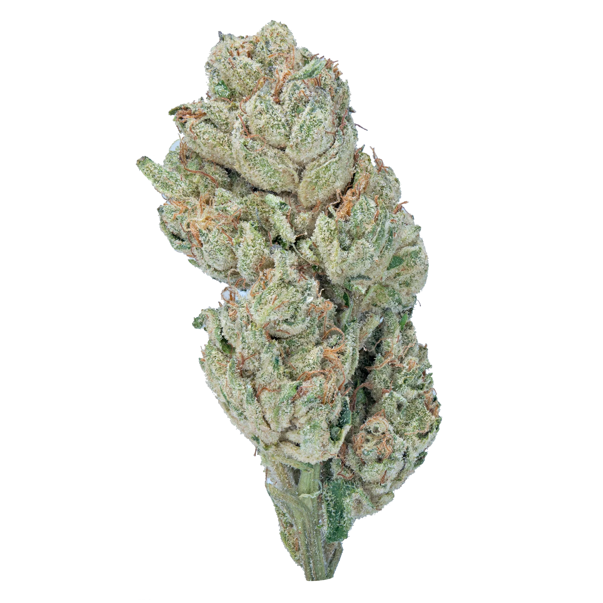 wham weed strain