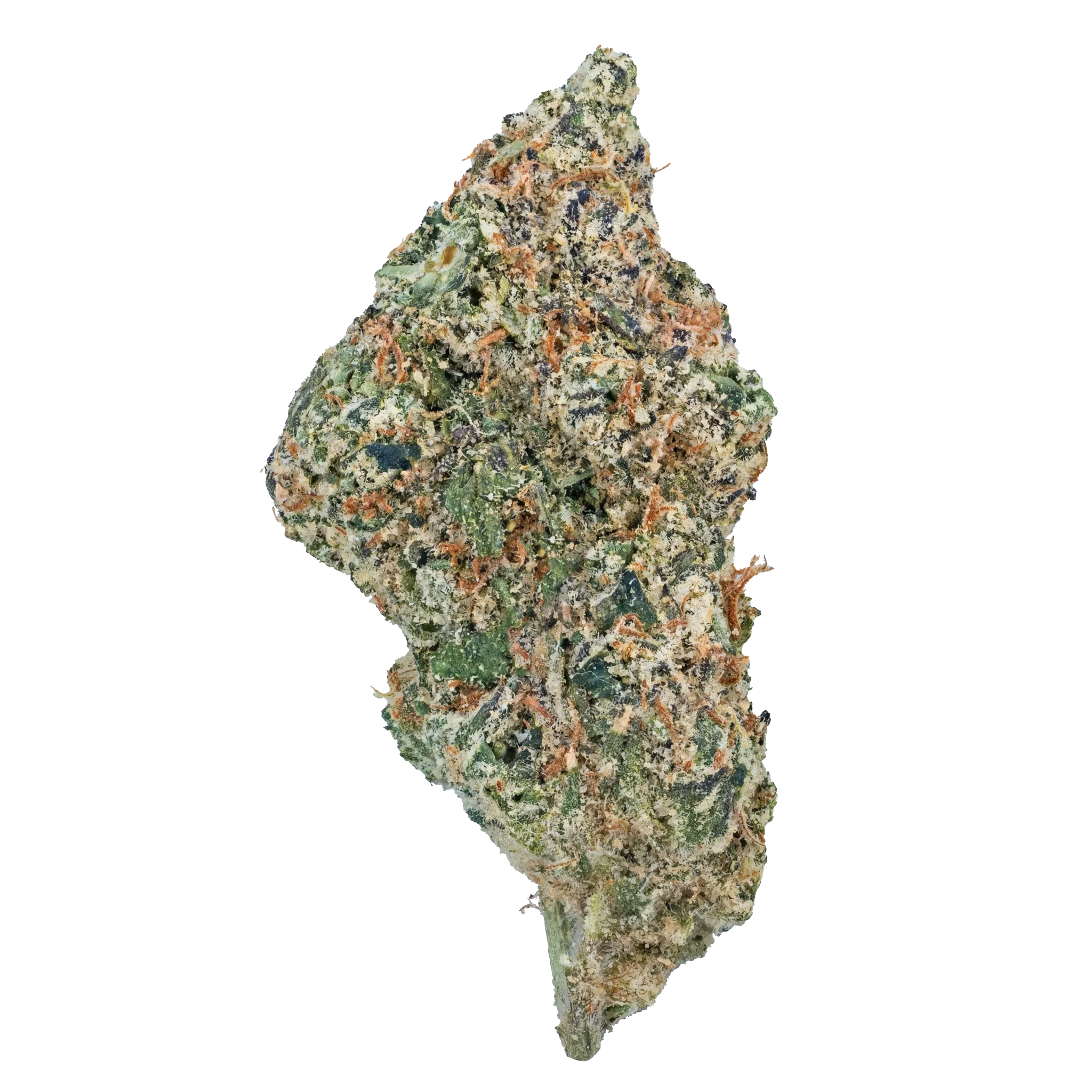 wham strain